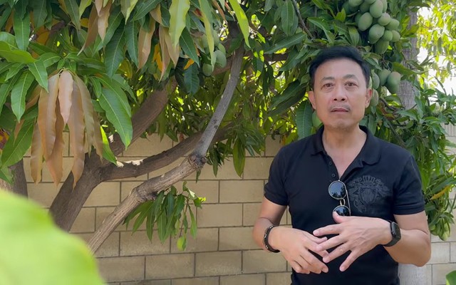 Thành quả của Vân Sơn tại Mỹ sau khi phá sản