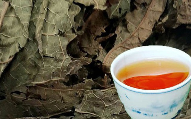 5 điều cần bỏ ngay khi uống lá đu đủ