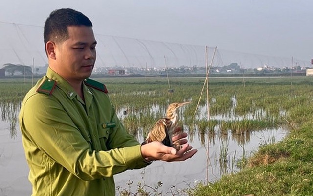 Hà Nội: Tăng cường bảo vệ động vật hoang dã nguy cấp, quý hiếm