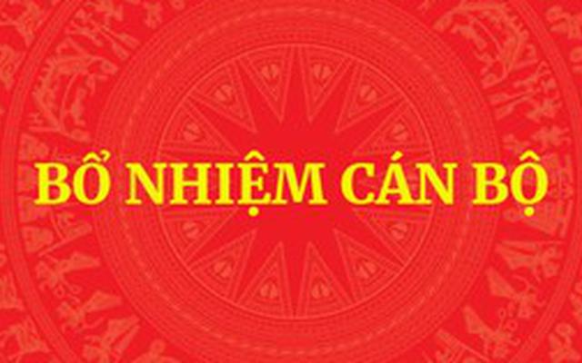 QUY ĐỊNH MỚI: Tiêu chuẩn, điều kiện bổ nhiệm công chức giữ chức vụ lãnh đạo, quản lý