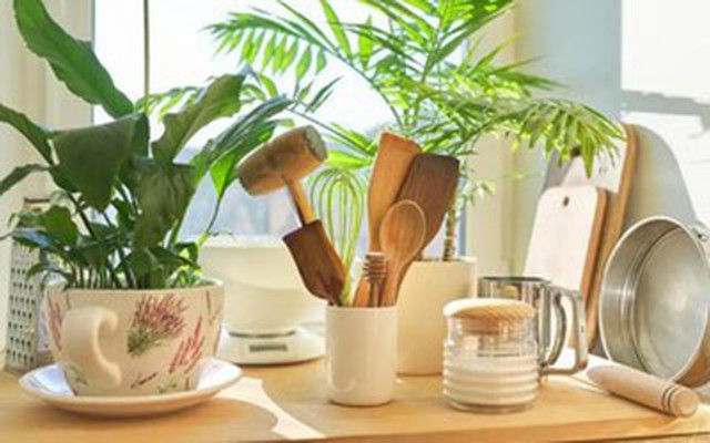 5 thứ trong nhà dễ gây bệnh bỏ ngay đừng tiếc