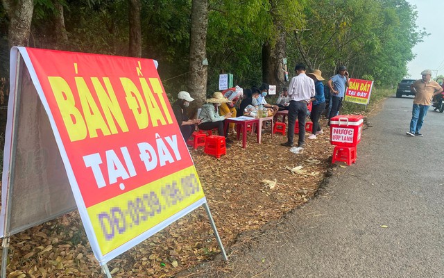 260.000 ‘cò đất’, môi giới tự do đang hành nghề trái luật?