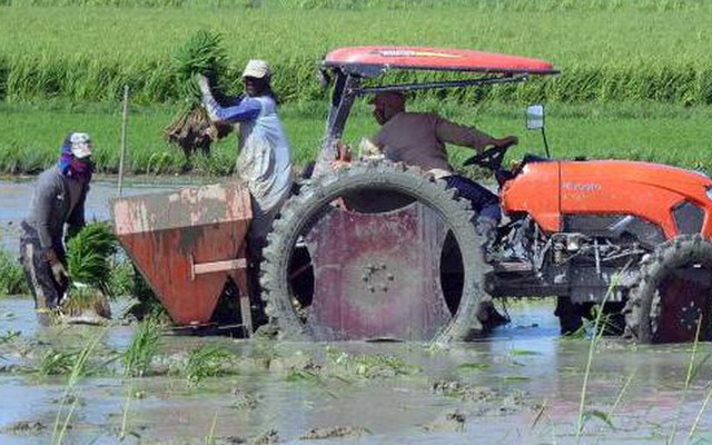 Cuba vừa đón tin cực vui, một doanh nghiệp Việt góp công lớn