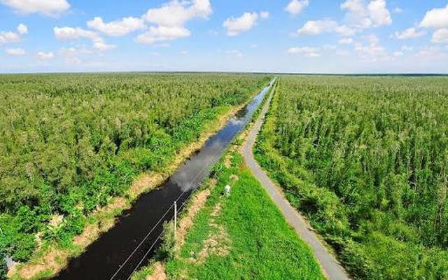 Việt Nam có khu rừng thuộc dạng hiếm bậc nhất thế giới, chia đôi bởi 1 dòng sông, 3 tổ chức cùng vinh danh