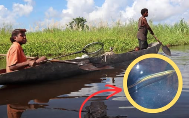 Sinh vật mất tích hơn 40 năm bất ngờ "sống lại": Người phụ nữ vô tình tìm thấy 2 con vào phút cuối
