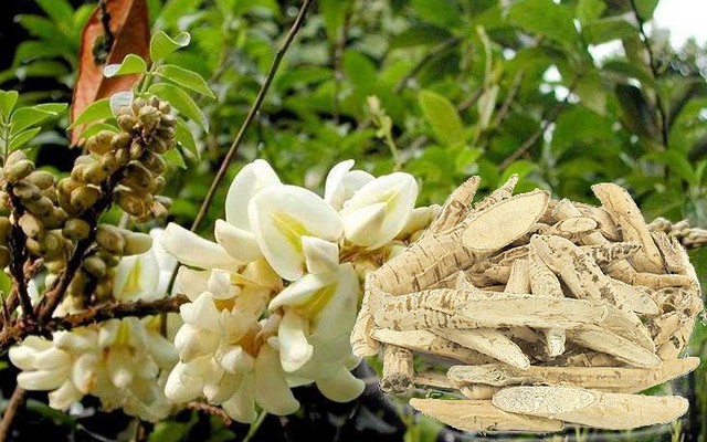 Dù bị can ngăn, anh nông dân quyết trồng loại củ ở độ sâu 20cm: 5 năm sau "báu vật tiền tỷ" xuất hiện