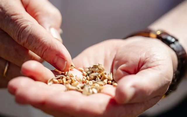 Nga vừa đón một kỷ lục "vô tiền khoáng hậu", đi thẳng vào Sách Kỷ lục Nga