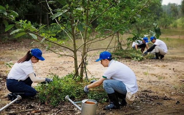 Lấy nước để sản xuất bia, doanh nghiệp này “trả” lại hàng tỷ lít mỗi năm bằng cách không ai ngờ