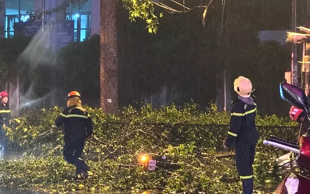 TPHCM: Nhánh cây lớn rơi trúng xe máy, hai vợ chồng thương vong