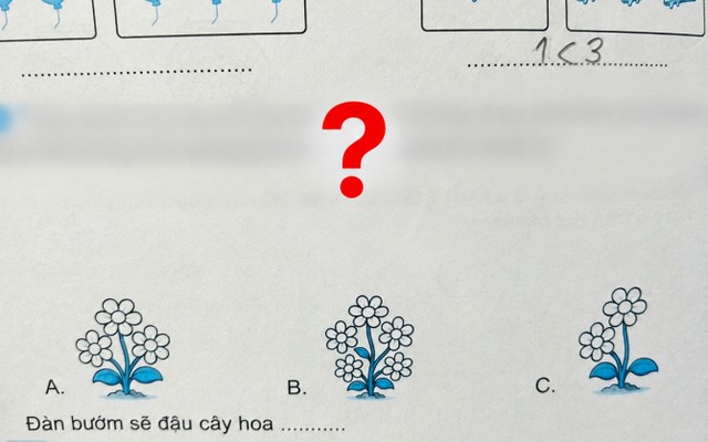 Bài Toán về đàn bướm khiến hội phụ huynh đọc xong "hoa mắt chóng mặt": Sao mà rắc rối quá!