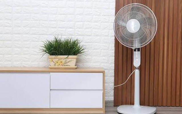 Nên dùng quạt trần hay quạt cây thì mát hơn?
