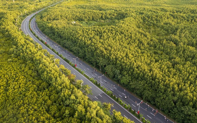 Thành viên Vingroup tính chuyện "lên đời" con đường dài hơn 35 km, hoàn thành năm 1986: Nối thẳng tới siêu đô thị lấn biển, đầu tư 19.000 tỷ đồng phát triển từ 6 thành 10 làn xe