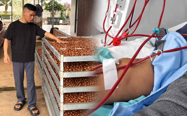 Chủ nhà hàng mới 24 tuổi đã suy thận giai đoạn cuối: Từng nghĩ do làm việc quá sức
