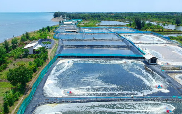 Một ‘mỏ vàng' dưới biển mang về cho Việt Nam 3,3 tỷ đô, riêng Trung Quốc chiếm 1/3