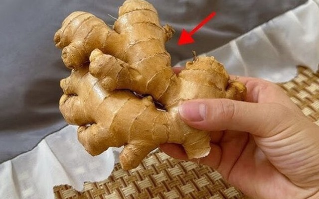 Vì sao ngày càng nhiều người thích đặt một củ gừng dưới gối khi ngủ?