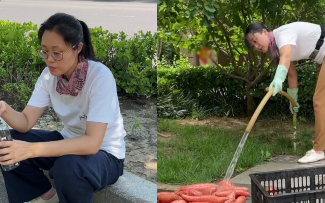 Giám đốc từng nhận lương 175 triệu/tháng, có bằng thạc sĩ giờ đi bán khoai lang nướng vỉa hè
