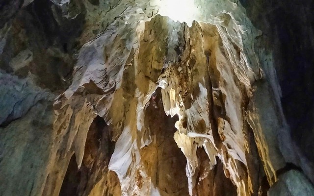 Phát hiện hang động nhiều tầng trong rừng nguyên sinh ở Nghệ An
