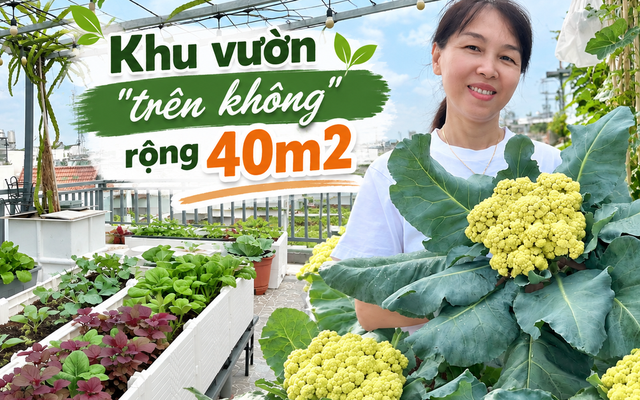 Khu vườn 40m² trên sân thượng ở TP.HCM: Rau xanh ăn quanh năm, chiều nào gia chủ cũng lên “xả stress”