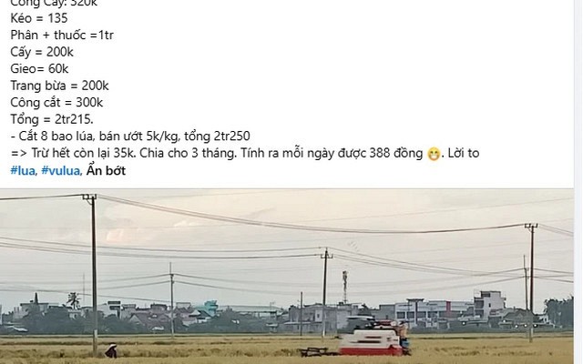 Bài đăng trồng 2 sào lúa chỉ lãi 35.000 đồng bỗng hút 2,5 triệu lượt xem: Nội dung thế nào?