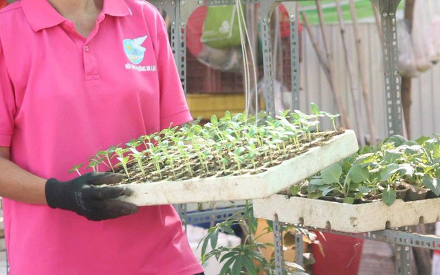 Chợ cây giống 0 đồng: Đổi rác lấy xanh, sẻ chia yêu thương giữa lòng thành phố