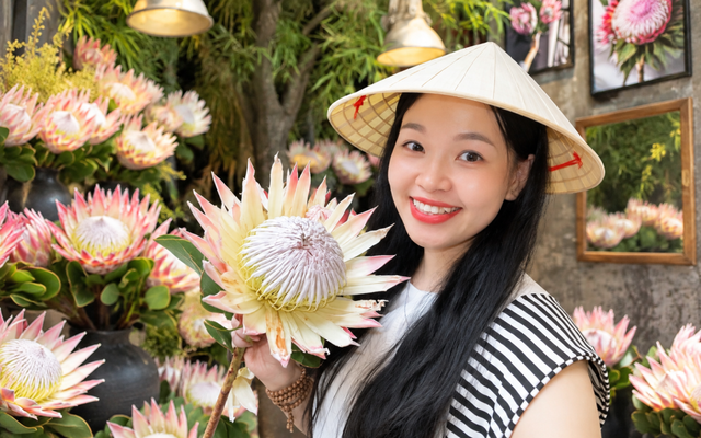 "Thảo đường hoàng đế" là hoa gì mà giá tới 1,5 triệu đồng/bông, khiến giới trẻ rần rần xếp hàng check-in?