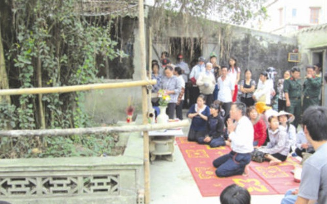 Tin đồn 'vợ chồng thần rắn' xuất hiện trên cây ở Nam Định