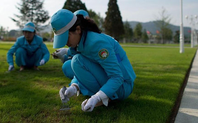 Những người phụ nữ nhổ cỏ tại nơi thiêng liêng nhất Triều Tiên