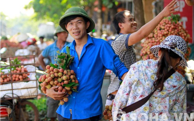 Lao động mùa vải: Kiếm 20 triệu đồng/tháng