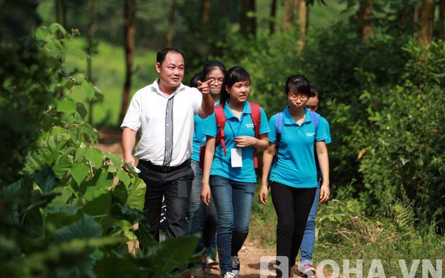 Các thủ khoa đại học năm 2013 háo hức đi hái chè cùng người dân