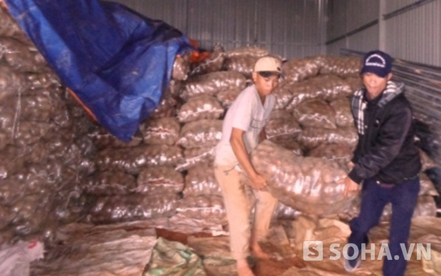 Phát hiện 26 tấn khoai tây Trung Quốc có lượng thuốc trừ sâu cao gấp 16 lần