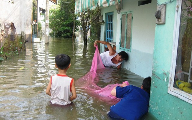 Chìm trong lũ, người Sài Gòn ra phố đánh cá