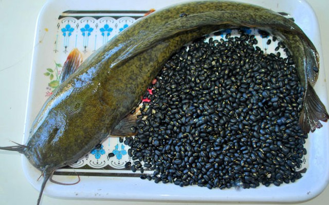 Cá trê hầm đậu đen khắc phục tình trạng suy giảm tình dục