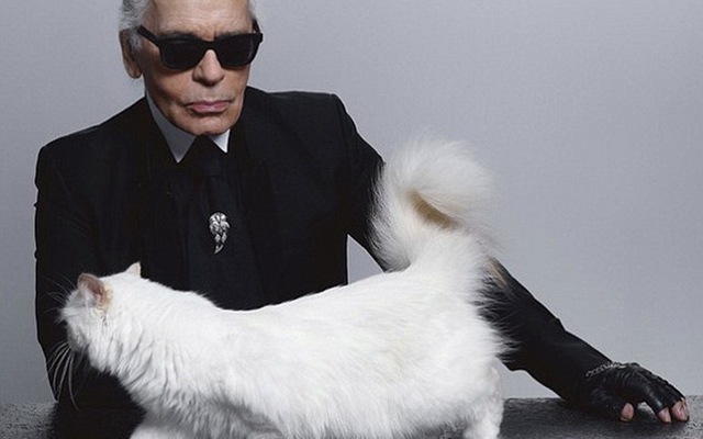 Nhà thiết kế 77 tuổi của Chanel chỉ muốn cưới... mèo