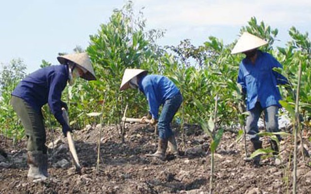 Sa thải người đã chết 16 năm, cụ ông bỗng nhiên có thai...