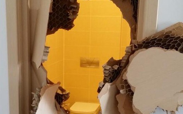 Hài hước chuyện VĐV dự Olympic Sochi bị nhốt trong WC