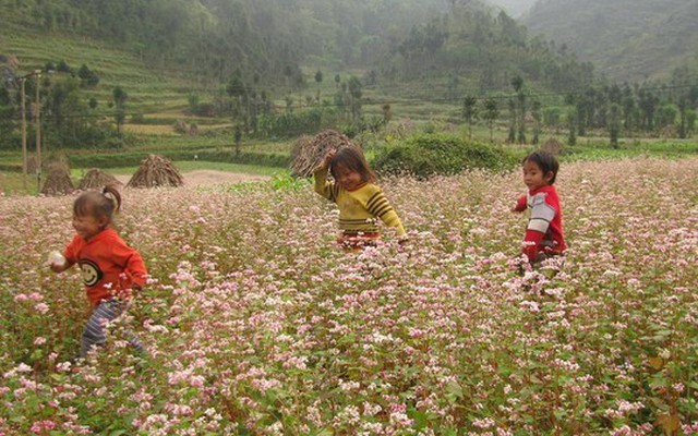 Việt Nam vào tốp 20 điểm đến đáng sống nhất thế giới