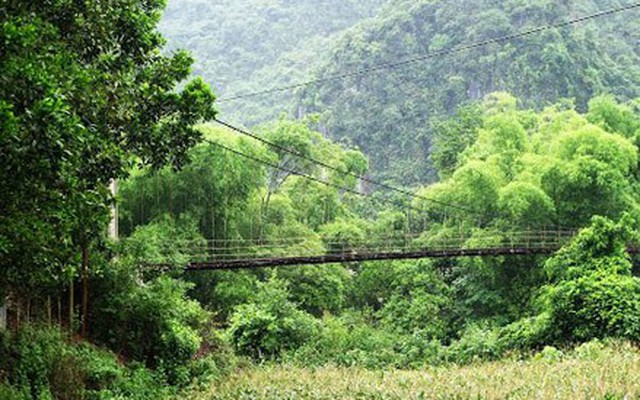 Thái Nguyên: 14 cầu treo trong tình trạng nguy hiểm