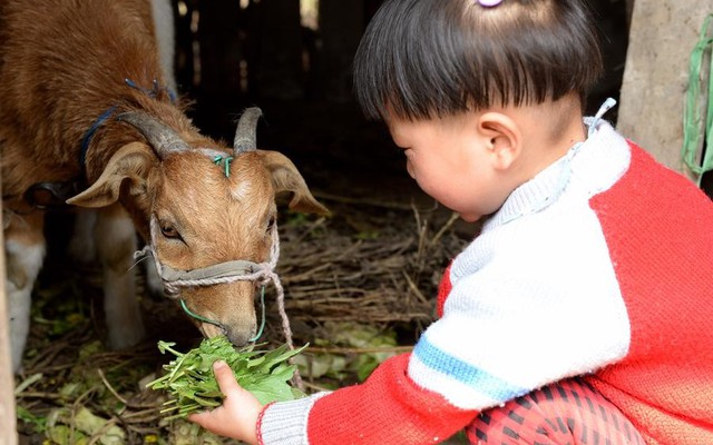 Rơi lệ nhìn em bé 5 tuổi tự tay chăm sóc bố mẹ tàn tật