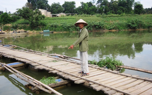 Đi chăn trâu, 1 em nhỏ rơi xuống sông chết đuối