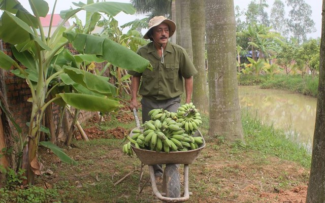 Cuộc sống thôn dã khó tin của gia đình Giang Còi