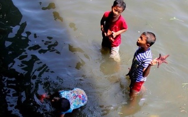 Nhức lòng cảnh những đứa trẻ bắt sao biển ở “Đảo ngọc” Phú Quốc