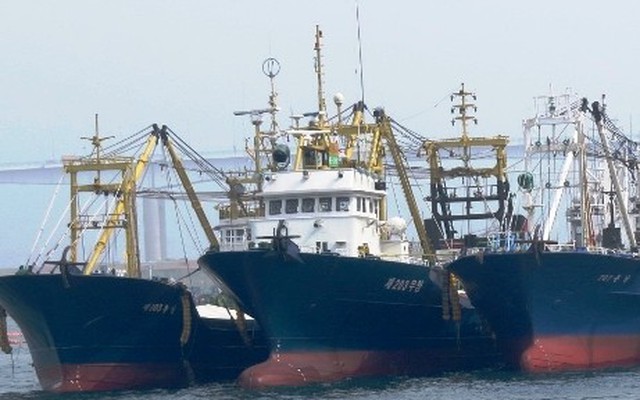 Đại gia Việt chính thức công bố kế hoạch mua 100 tàu cá vỏ sắt