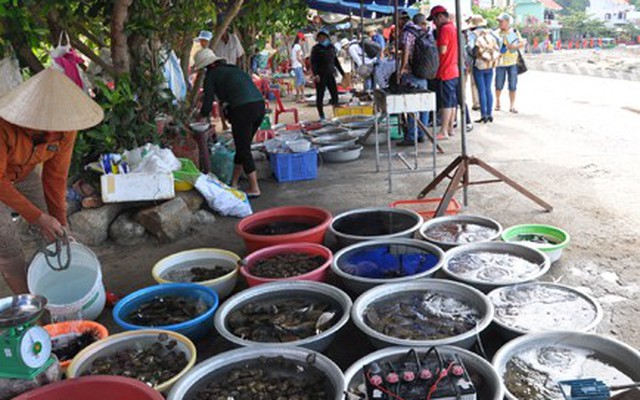 Chợ hải sản ăn liền giữa biển độc nhất Việt Nam