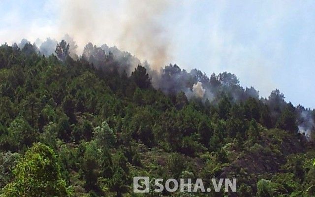 Cháy trên núi Đại Huệ, hàng trăm người dập lửa