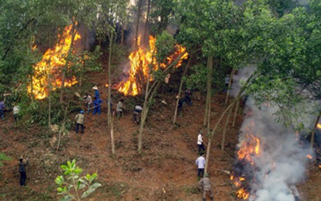 Chữa cháy rừng, Hạt phó kiểm lâm bị tử vong