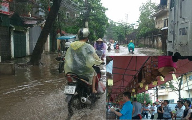 Hà Nội mưa ngập: Chim cảnh được đưa đi thi bằng taxi