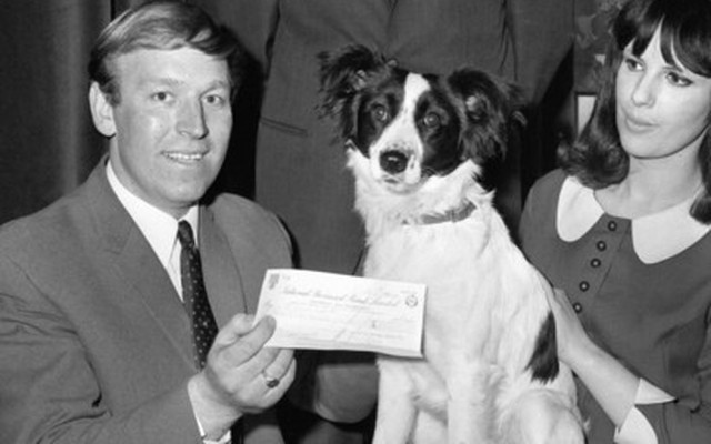 World Cup 1966: Huyền thoại về một… chú chó