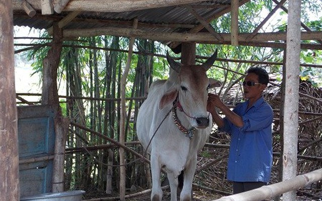 Thán phục trước khả năng đặc biệt của hai "dị nhân" mù