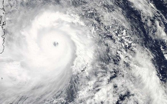 Đề đọc hiểu số 1: Bông súng và siêu bão Haiyan