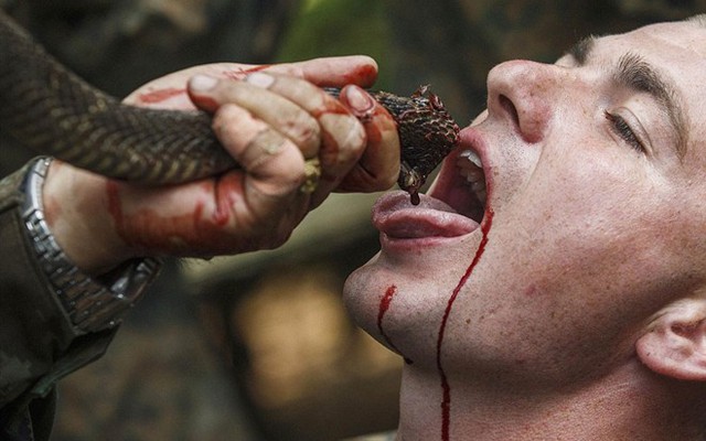 Xem binh sĩ uống máu rắn, nhai bọ cạp trong "Hổ mang Vàng 2014"